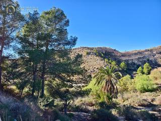 Maison  Tahulla. Fantástica vivienda de 2 dormitorios en crevillente
