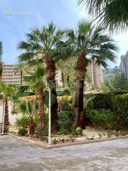 Foto ee47debc-cdb9-424f-9c29-6b4e7e1a6ba5. Pis amb aparcament piscina a Rincón Alto Benidorm