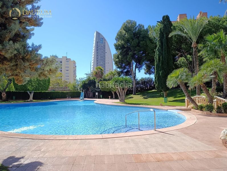 Foto 9da19e3e-8cd9-4581-9a7d-daa98d40c6d6. Pis amb piscina a Playa Poniente Benidorm