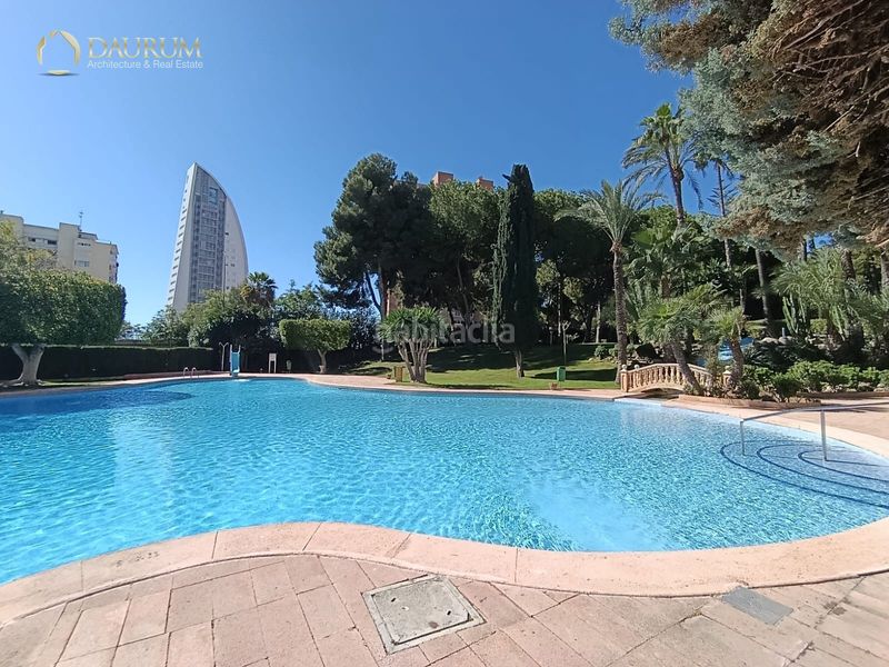 Foto b3da641b-1f1e-43b4-b8d9-e85cb2befa0e. Pis amb piscina a Playa Poniente Benidorm