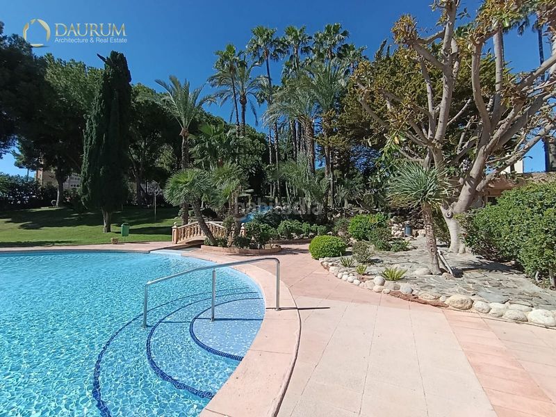 Foto cb0c76d6-554c-4f70-b27b-f3deac53203e. Pis amb piscina a Playa Poniente Benidorm