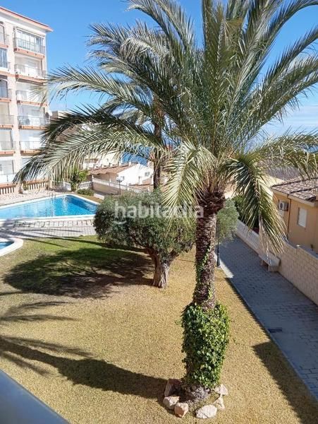 Foto 47931abb-336f-4ce5-81d3-876101c22c2d. Pis amb piscina a Los Arenales del Sol Elche / Elx