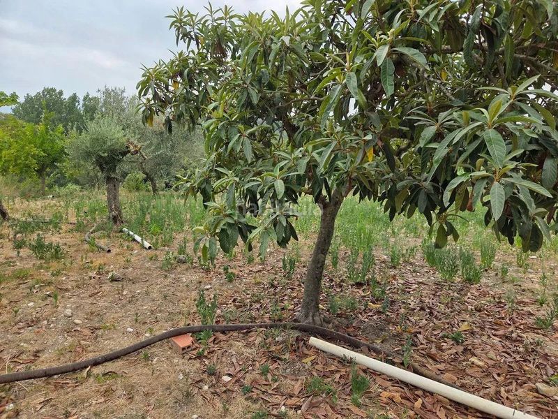 Foto 5eb44bbe-352b-4d59-bda8-6f9a54f3e6a8. Casa a Tortellà