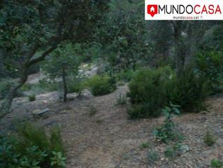 Terreny residencial a Mas Baell-Can Carbó. Venta de parcela en lloret en serra brava