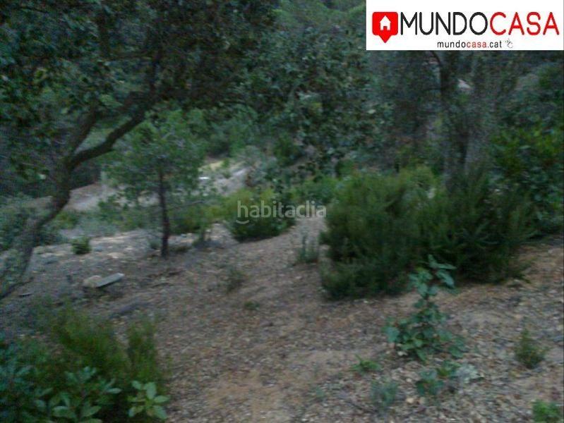 Foto 37f98a14-634c-4781-8823-6ff93a085210. Terreno residenziale in Mas Baell-Can Carbó Lloret de Mar