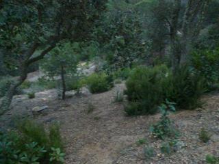 Terreny residencial a Serra Brava. Venta de parcela en lloret en serra brava