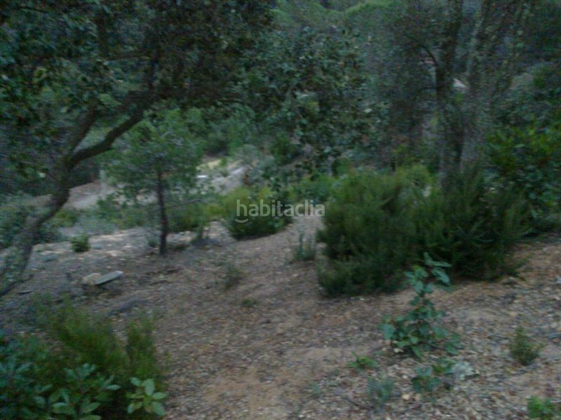 Foto 8570dd5d-4853-4427-8ec2-38e88edd36c6. Terreny residencial a Serra Brava Lloret de Mar