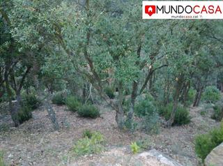 Terreny residencial a Mas Baell-Can Carbó. Venta de parcela en lloret en serra brava