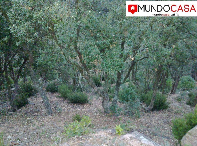 Foto 61cc89b4-104f-4b78-af90-e12669410f51. Terrain résidentiel dans Mas Baell-Can Carbó Lloret de Mar
