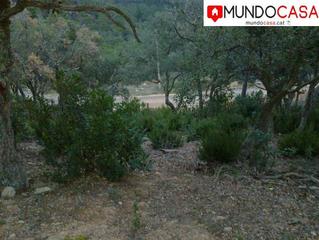 Terreny residencial a Mas Baell-Can Carbó. Venta de parcela en lloret en serra brava