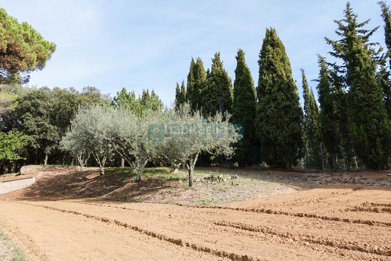 Foto 243b222e-b5dc-49ba-a28b-574c794877b1. Casa amb calefacció aparcament piscina a Sant Feliu de Buixalleu