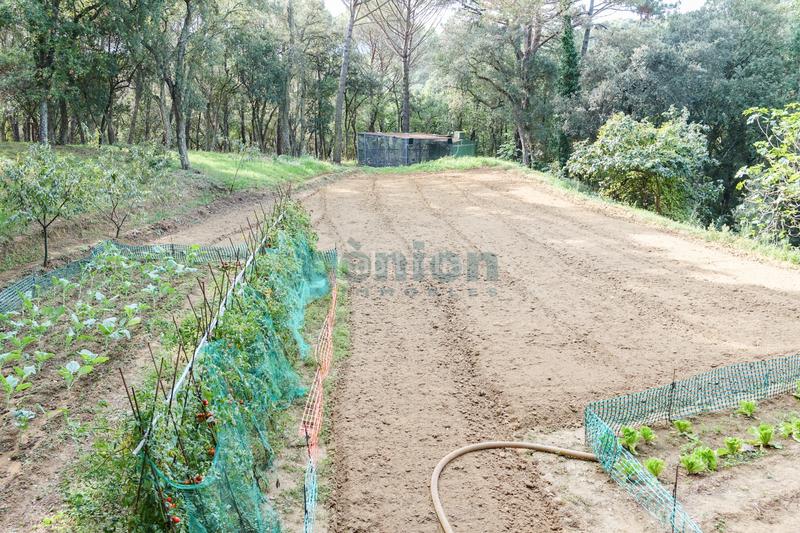 Foto 3ca86ca3-c1bf-4a75-a7a1-db1d14a308ec. Casa amb calefacció aparcament piscina a Sant Feliu de Buixalleu