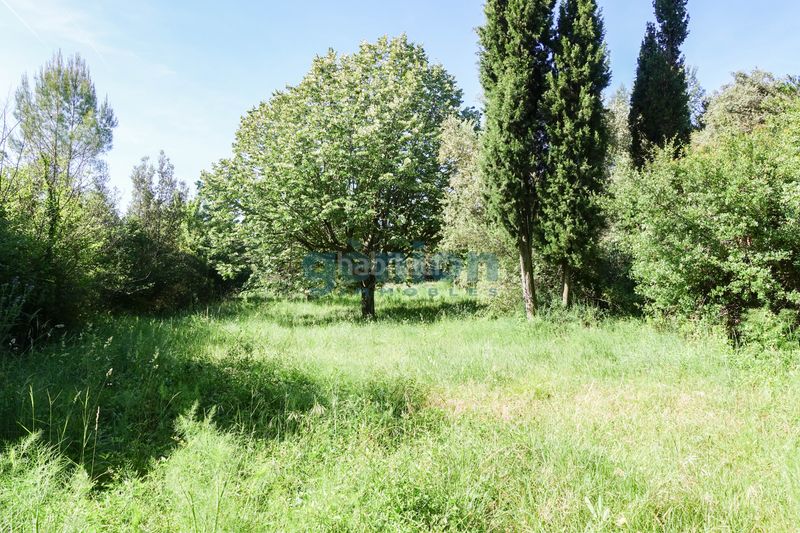 Foto 717537de-3d83-47c9-97c1-879ab3457d37. Masia amb calefacció aparcament piscina a Cistella