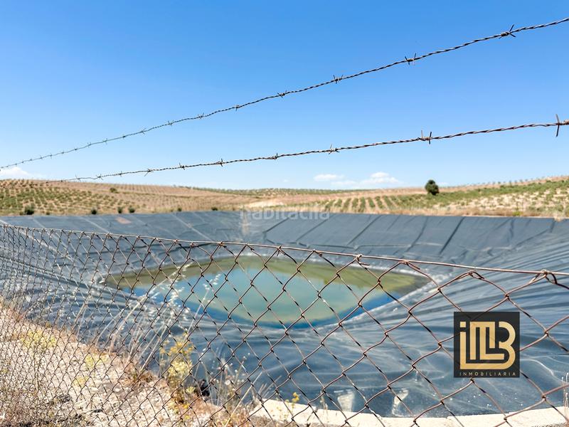 Foto 2892e2b1-cb2c-402e-9ada-537f614320f6. Finca rústica a avenida de jaén 13 a Cabra del Santo Cristo