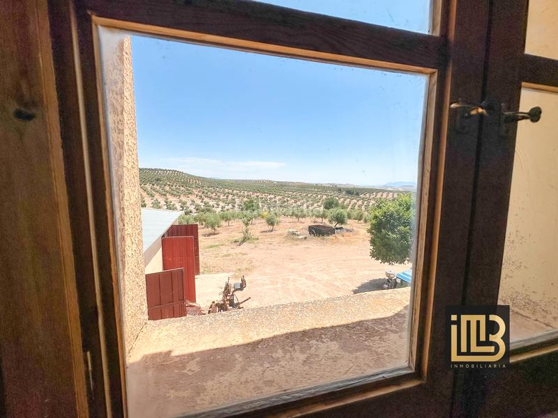 Foto 9e938104-fdc2-4940-a6db-8a1f4dc54a5d. Finca rústica a avenida de jaén 13 a Cabra del Santo Cristo