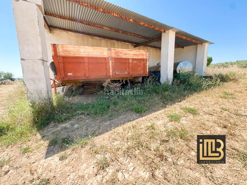 Foto ced643a2-831f-4896-9e90-68d8e0a7cb4f. Finca rústica a avenida de jaén 13 a Cabra del Santo Cristo