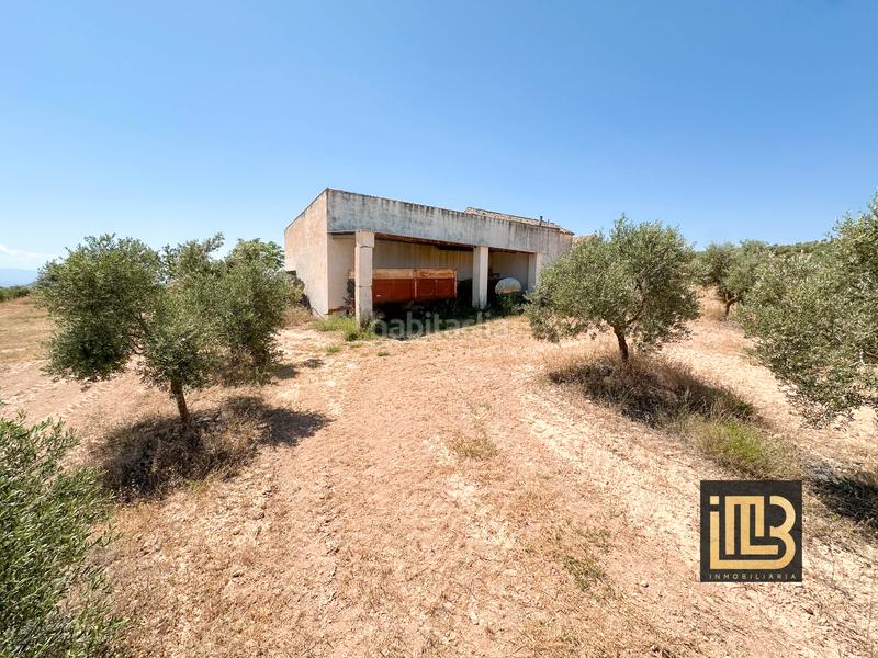 Foto ef7cb6ae-198b-4cef-80d2-87f207d620ac. Finca rústica a avenida de jaén 13 a Cabra del Santo Cristo