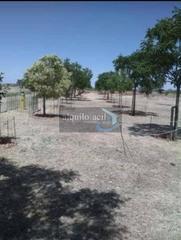 Terreny residencial a Casas de Benítez. Se vende terreno en casas de benitez de 3100 metros por 18500€