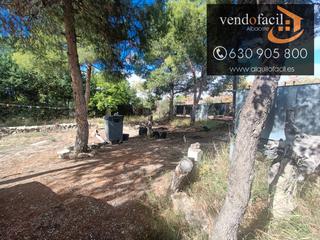Mas  Vereda de jaén. Se vende parcela rustica en casas viejas de 2500 metros por 1500