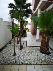 Location Chalet à Núcleo Urbano. Chalet en alquiler en aljaraque, 4 dormitorios.