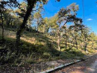 Terreny residencial a Calle font,de la 7