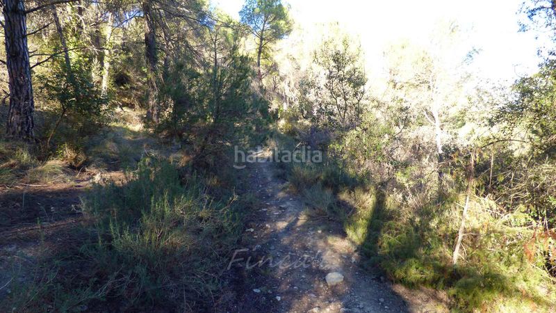 Foto 0115e59c-81e2-4910-b330-e108e135d71a. Finca rústica a n/a a Monistrol de Calders