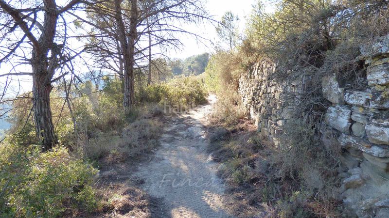Foto 7bbea0ae-f208-4a25-b30d-03ed250db356. Finca rústica a n/a a Monistrol de Calders