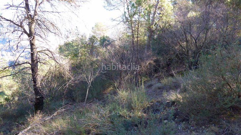 Foto d2728109-b7b5-4809-ad16-91e256025f10. Finca rústica a n/a a Monistrol de Calders
