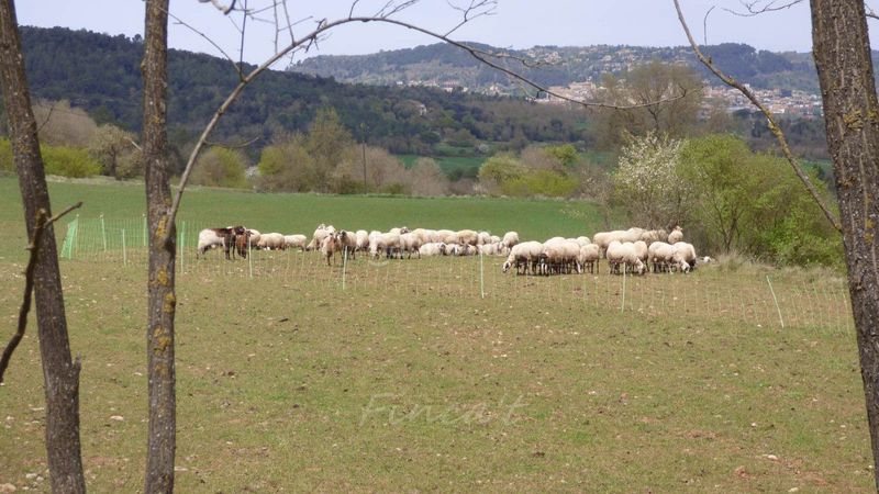 Foto 0fe43417-e5d6-4ab7-b15b-2b048c50491f. Masia amb aparcament a Castellterçol