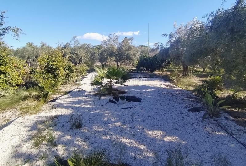 Foto 24fb9781-8e30-4dd0-aafc-6f5760a14a88. Casa en Novelda