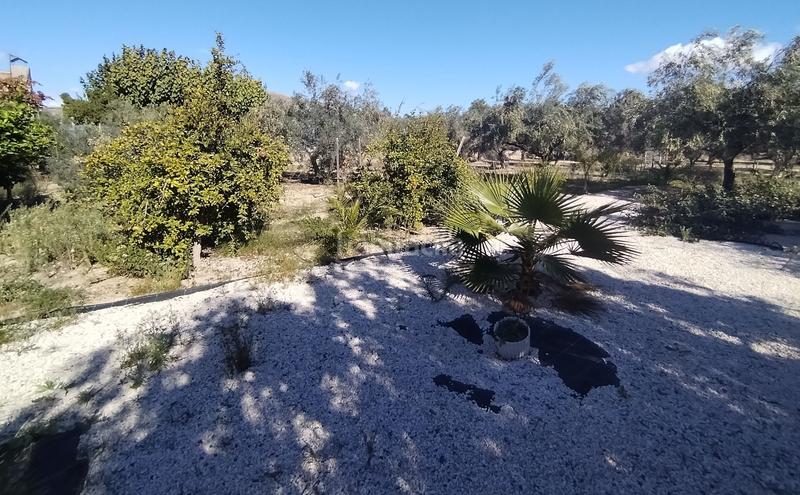 Foto 79496fc4-dbf2-42f8-b173-e806ceeedb06. Haus mit heizung parking pool in Novelda