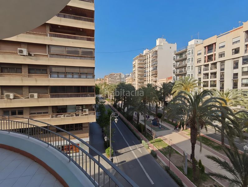 Foto c3fda42b-3aa3-48c7-a6d6-b0844bc77838. Pis a Ensanche-Diputación Alicante
