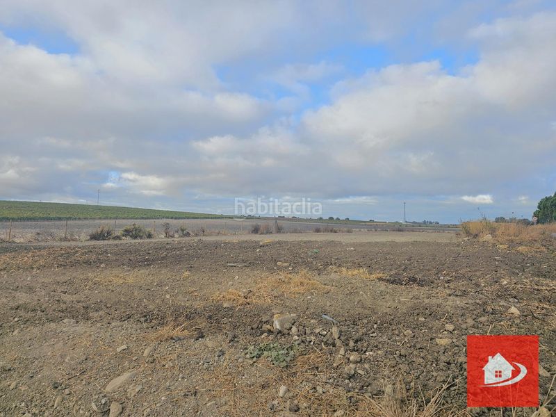 Foto 0ba80603-5d99-4ddc-bf9d-d952ae79ad1a. Finca rústica a Centro-Calzada-Cabo Noval Sanlúcar de Barrameda