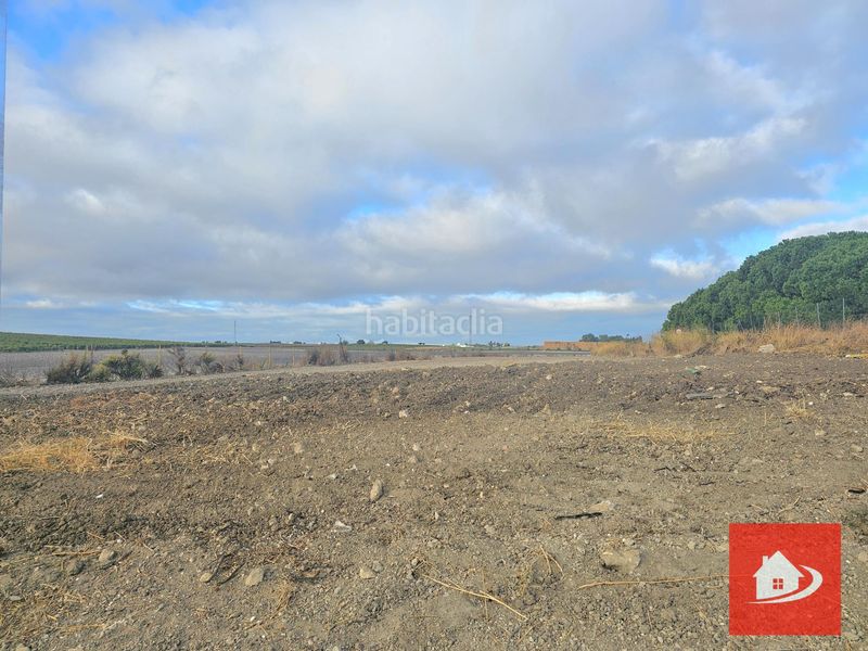Foto ba13b2fd-14ac-4649-bc16-1fc7ad1b7be6. Finca rústica a Centro-Calzada-Cabo Noval Sanlúcar de Barrameda