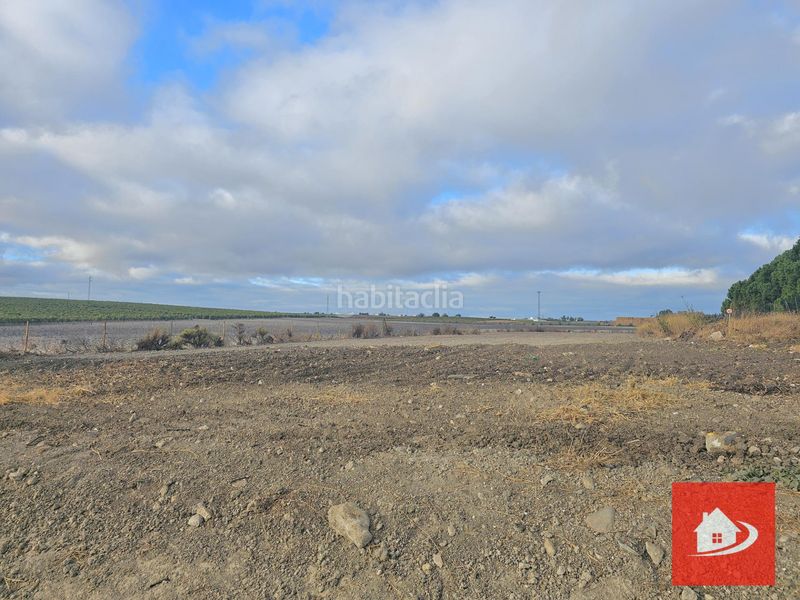 Foto cd9276a3-1334-4fa5-b78c-272c4d571f32. Finca rústica a Centro-Calzada-Cabo Noval Sanlúcar de Barrameda