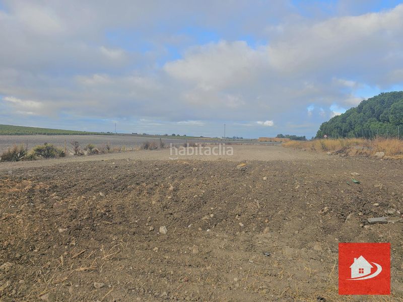 Foto dcfe1154-6278-4bce-acf6-be5320c90f88. Finca rústica a Centro-Calzada-Cabo Noval Sanlúcar de Barrameda