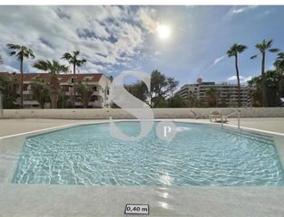 Rent Ground floor  Avenida kurt konrad mayer. Apartamento en alquiler en playa honda, playa de las américas  t