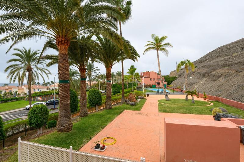 Foto 8b258b6c-0696-44c8-9840-f7042fa5eff9. Miete reihenhaus in Pasito Blanco - Santa Águeda San Bartolomé de Tirajana