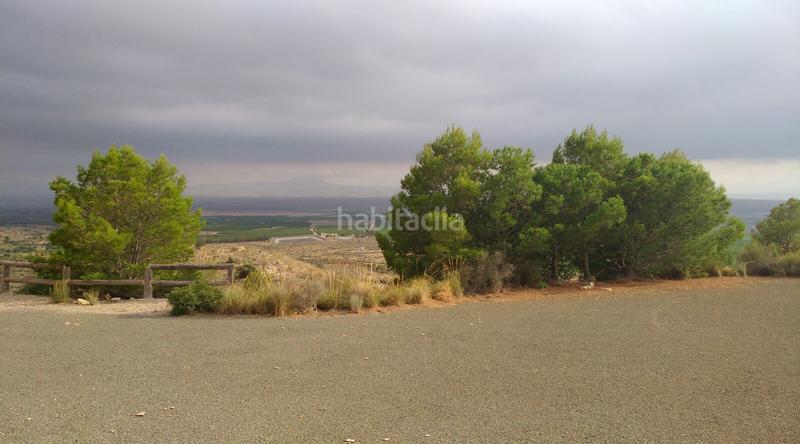 Foto 45292c59-ba10-44ff-97c8-765500de2c71. Mas dans Los Almagros - Los Paganes - El Escobar Fuente Álamo de Murcia