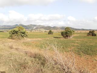 Rural plot in Poblado barracas 100