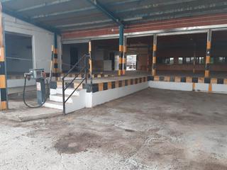 Bâtiment à usage industriel à B-16 22b. Nave industrial en cehegin con 4 camaras frigorificas capacidad
