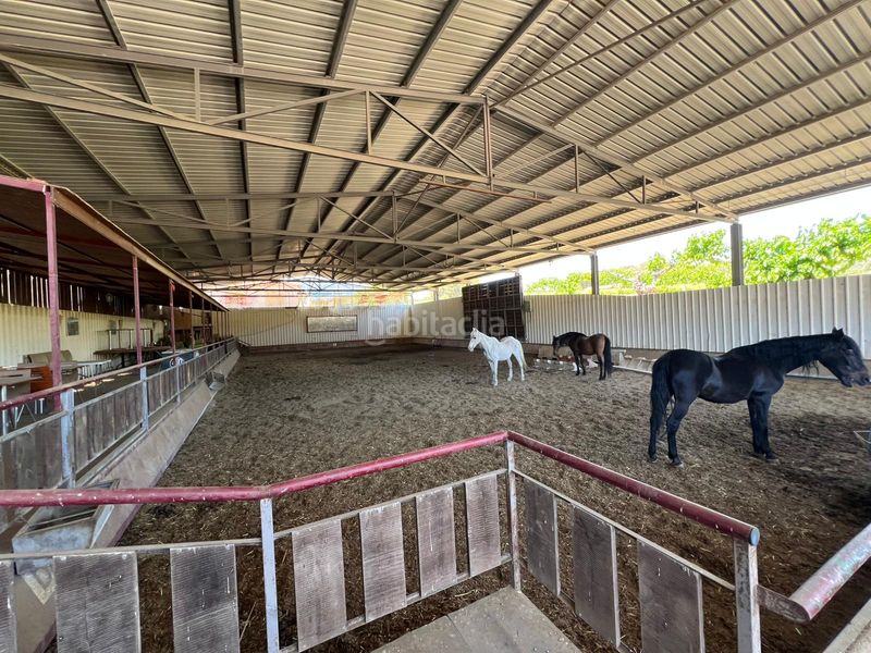 Foto 53d1d699-0517-4022-9487-7164ac35ffe0. Finca rústica a Bonastre