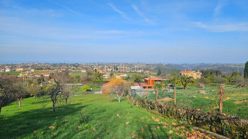 Foto 3c8bc941-8f3c-401f-973d-8557493be374. Mas dans Quintes - Arroes Villaviciosa