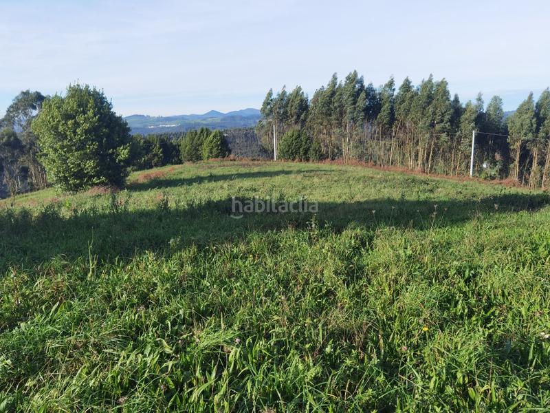 Foto 57e269e8-21bf-47dc-ba63-a9fcb88bfbcb. Terreny residencial a Cenero Gijón