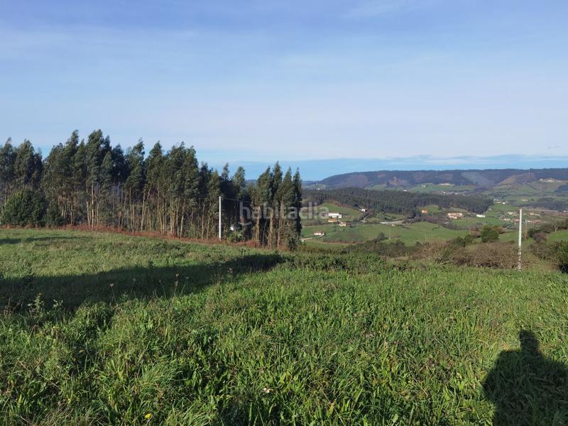 Foto b1039ae1-6f58-4ac1-a4b2-8a985d9bc508. Terreny residencial a Cenero Gijón