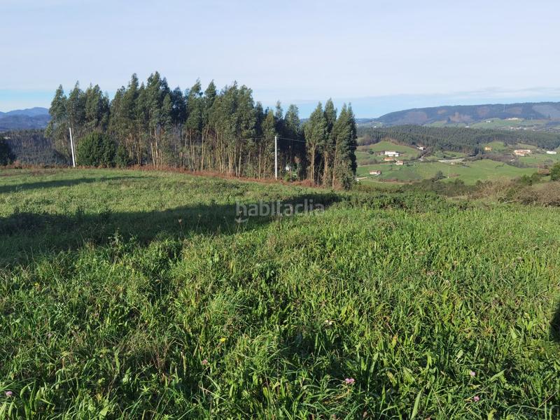 Foto b2242514-8499-4cee-b5f0-8c601f55617b. Terreny residencial a Cenero Gijón