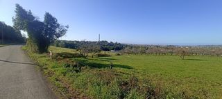 Terreny residencial a Bernueces