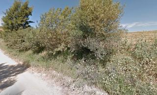 Terreny residencial a Bornos. Venta de suelos bornos cadiz