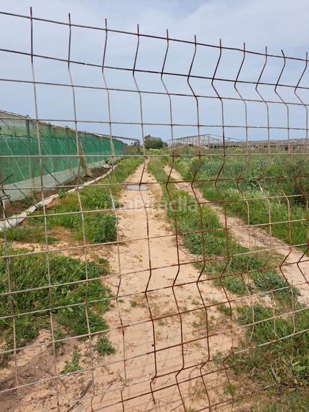 Foto 06cf9e97-2414-456d-8b73-af18dd1c8974. Finca rústica a La Laguna Chipiona