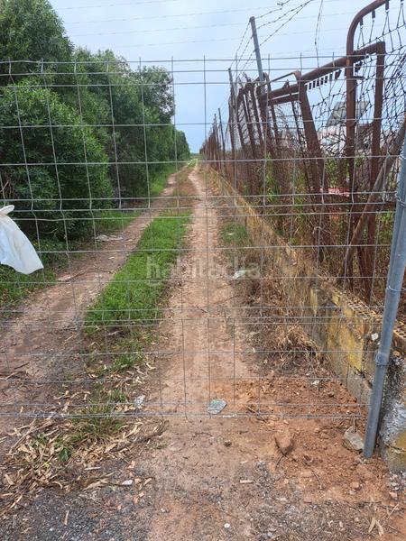 Foto 3441cc1c-3155-4cb1-aa42-029f003dc359. Finca rústica a La Laguna Chipiona